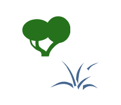 Color scheme for RPG icon