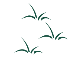 Color scheme for RPG icon