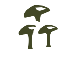 Color scheme for RPG icon