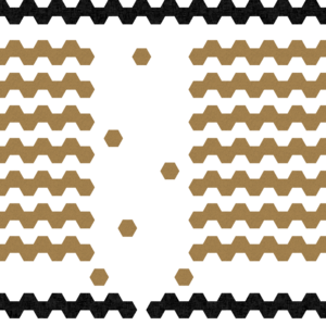 assets_item_title_Map_square