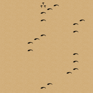 assets_item_title_Map_square