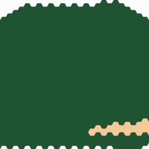 assets_item_title_Map_square