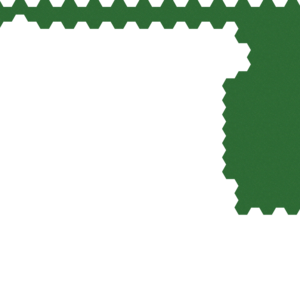 assets_item_title_Map_square