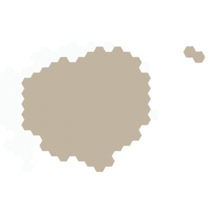 assets_item_title_Map_square