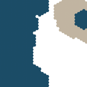 assets_item_title_Map_square