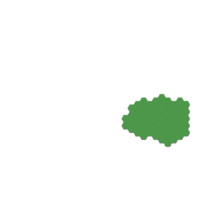 assets_item_title_Map_square