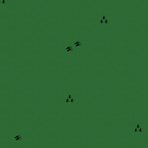 assets_item_title_Map_square