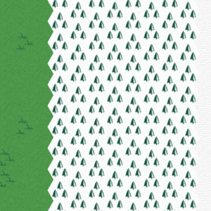 assets_item_title_Map_square