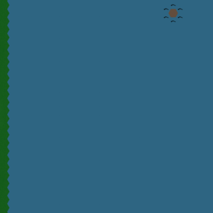 assets_item_title_Map_square