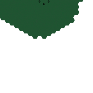 assets_item_title_Map_square