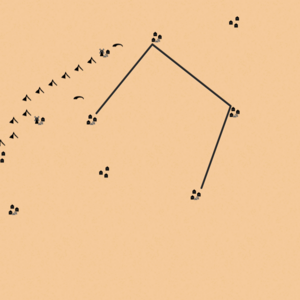 assets_item_title_Map_square