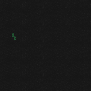 assets_item_title_Map_square