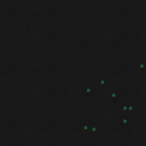 assets_item_title_Map_square