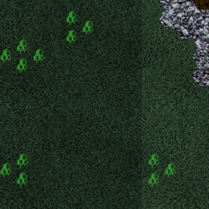 assets_item_title_Map_square