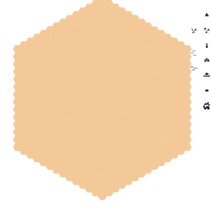 assets_item_title_Map_square