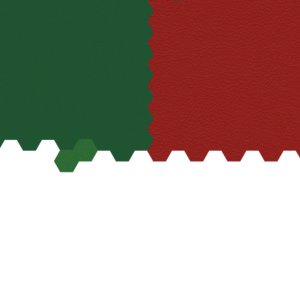 assets_item_title_Map_square