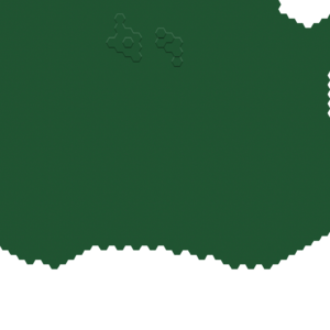 assets_item_title_Map_square