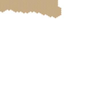 assets_item_title_Map_square