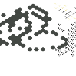 assets_item_title_Map_square