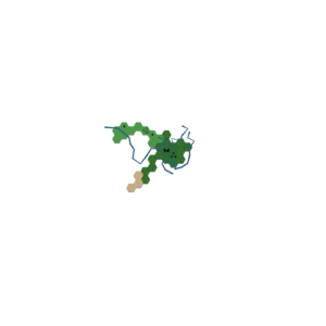 RPG map