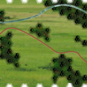 assets_item_title_Map_square