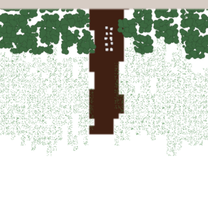 assets_item_title_Map_square