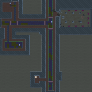 assets_item_title_Map_square