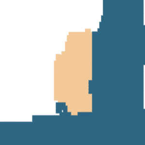 assets_item_title_Map_square