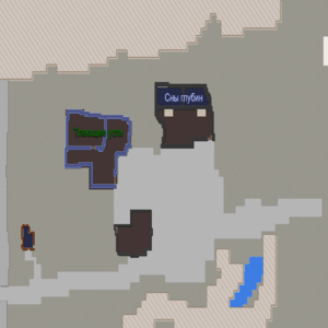 assets_item_title_Map_square