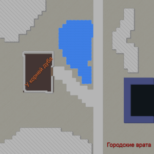 assets_item_title_Map_square
