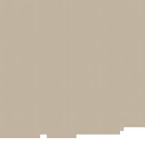 assets_item_title_Map_square