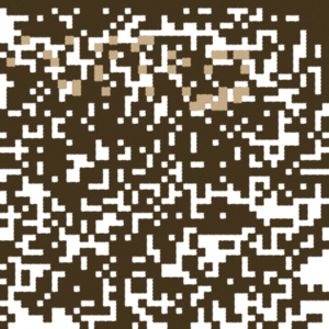 assets_item_title_Map_square