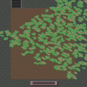 assets_item_title_Map_square