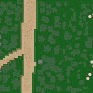 assets_item_title_Map_square