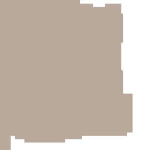 assets_item_title_Map_square