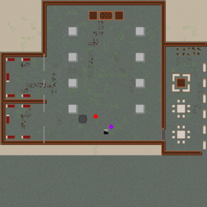 assets_item_title_Map_square