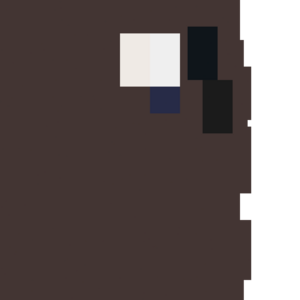 assets_item_title_Map_square