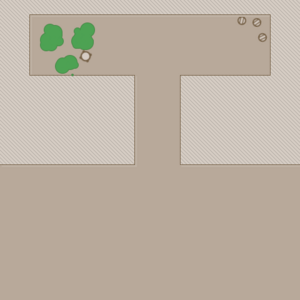 assets_item_title_Map_square