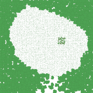 assets_item_title_Map_square