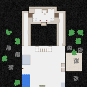 assets_item_title_Map_square