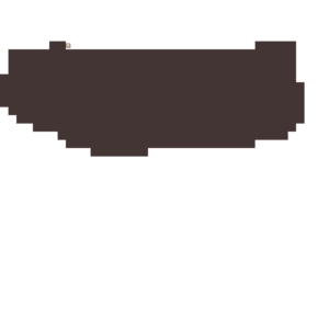 assets_item_title_Map_square