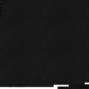 assets_item_title_Map_square