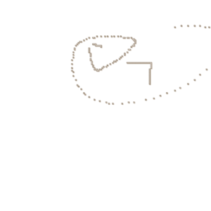 assets_item_title_Map_square