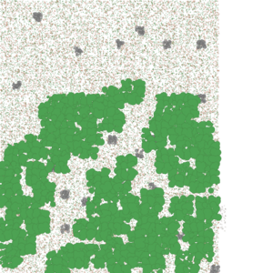 assets_item_title_Map_square