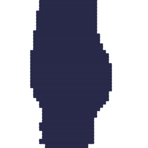 assets_item_title_Map_square