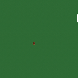 assets_item_title_Map_square