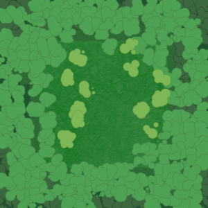 assets_item_title_Map_square