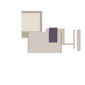 assets_item_title_Map_square