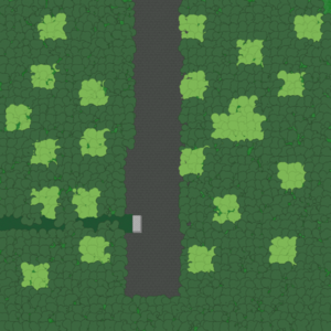 assets_item_title_Map_square