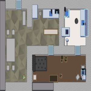 assets_item_title_Map_square